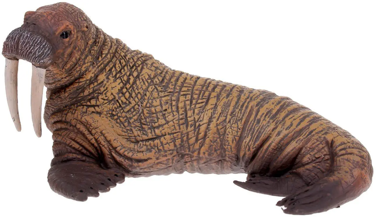 Фигурка Collecta Морж, размер L