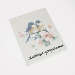 Фотография товара Папка для семейных документов, 22,5х1х31, с вкладышами ПВХ на 1 комплекта, Птицы 7896289