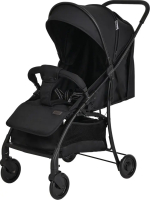 Фотография товара Коляска детская Pituso Libro прогулочная, Black, чехол на ножки