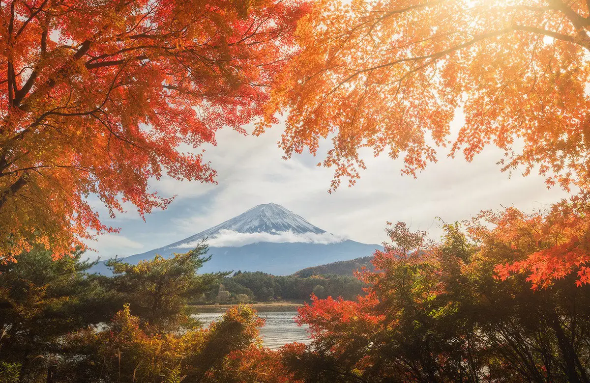 Пазл Фрея Осень в Японии, 1000 элементов