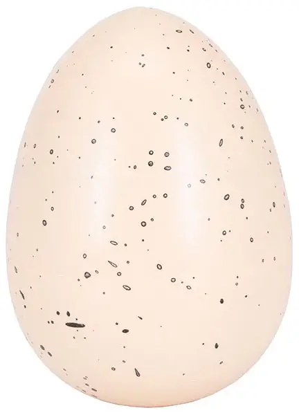 Игрушка яйцо с динозавром растущим в воде большое