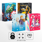 Фотография товара Пакет подарочный Мульт герои, 31х40х11 см, 10459216