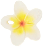 Фотография товара Прорезыватель для зубов Oli&Carol Hawaii The Flower