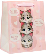 Фотография товара Пакет ламинированный Котики, ML 23х27х11,5 см 7569789