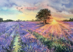 Фотография товара Пазл Фрея Лавандовый закат, 2000 элементов