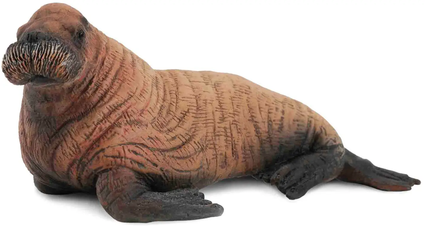 Фигурка Collecta Детеныш моржа, размер M