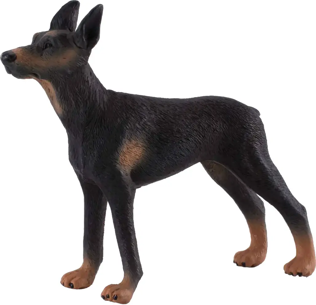Фигурка Collecta Доберман-пинчер, размер L , 10,5 см
