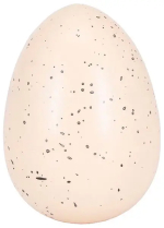 Фотография товара Игрушка яйцо с динозавром растущим в воде большое