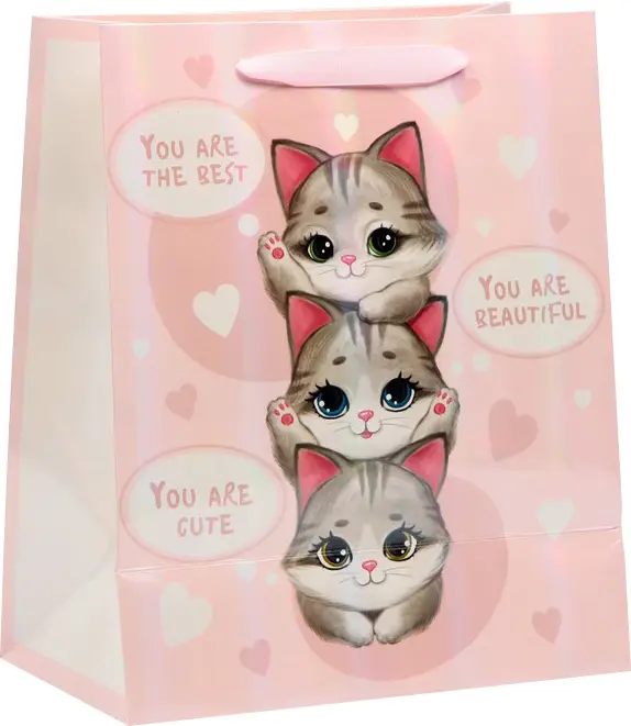 Пакет ламинированный Котики, ML 23х27х11,5 см 7569789