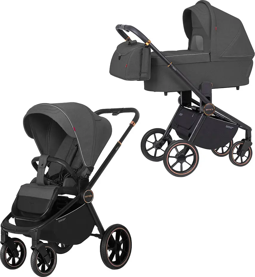 Коляска Carrello Epica 2 в 1 Iron Grey