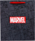 Фотография товара Пакет ламинированный вертикальный Marvel Мстители, 23х27х11 см, 9286105