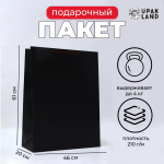 Фотография товара Пакет ламинированный Черный, 46х61х20 см, 10320503