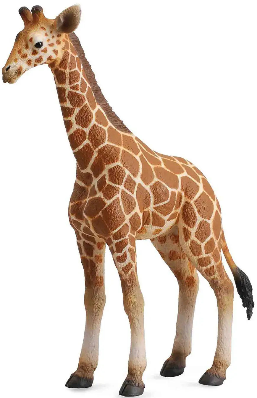 Жеребенок Сетчатого Жирафа,L