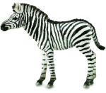 Фотография товара Фигурка Collecta Жеребенок зебры, размер M