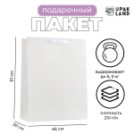 Фотография товара Пакет ламинированный Белый, 46х61х20 см, 10320504