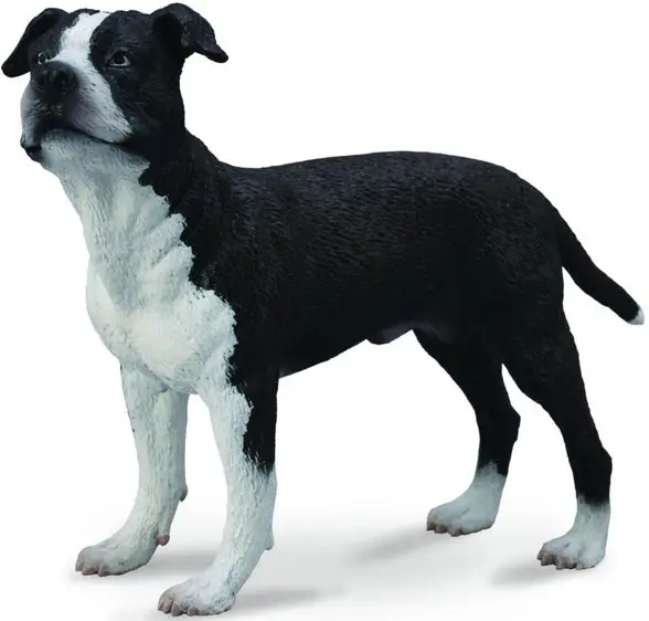 Фигурка Collecta Стаффордширский терьер, размер L